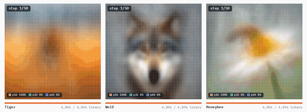 Generations shown over 50 denoising steps. White outlines over each image mark the patch size per region: fine p16 patches settle on the animal, coarse p64 patches cover the background. A bar under each image shows 1,024 of 4,096 tokens in use.