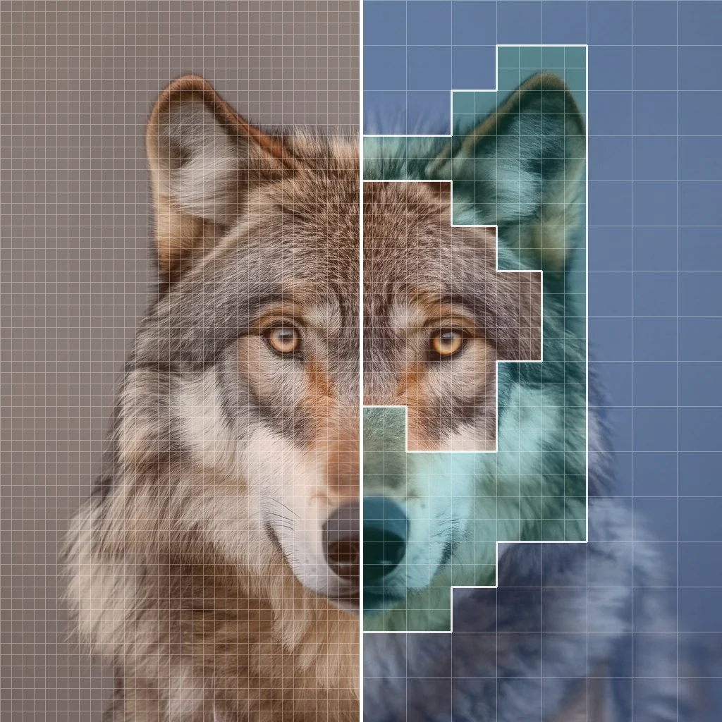One wolf image split down the middle. Left half: every 64 by 64 region at p16, a dense uniform grid of 4,096 tokens. Right half: the MOSAIK layout at a 1,024-token budget, with fine patches around the eyes and nose and coarse patches on the fur and background.