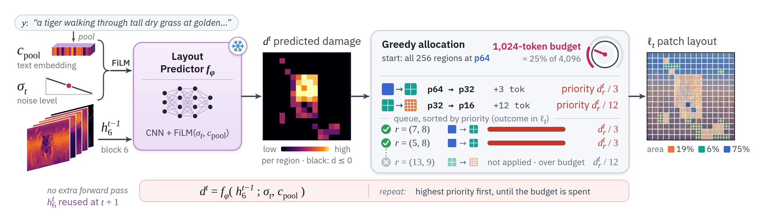 Inference on the tiger prompt at step 25. The layout predictor takes the prompt embedding, the noise level and block-6 features from the previous step and predicts a 16 by 16 damage map. Greedy allocation at a budget of 1,024 tokens starts all regions at p64 and applies p64 to p32 (plus 3 tokens, priority d over 3) and p32 to p16 (plus 12 tokens, priority d over 12) refinements best-first while they fit. The resulting layout covers 19 percent of the image with p16, 6 percent with p32 and 75 percent with p64.